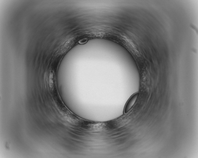 X0000098100122200804181435
