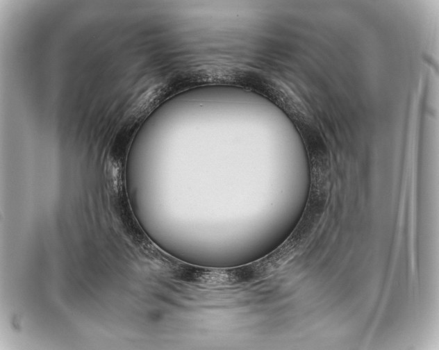 X0000098100123200804181435