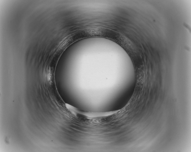 X0000098100124200804181435