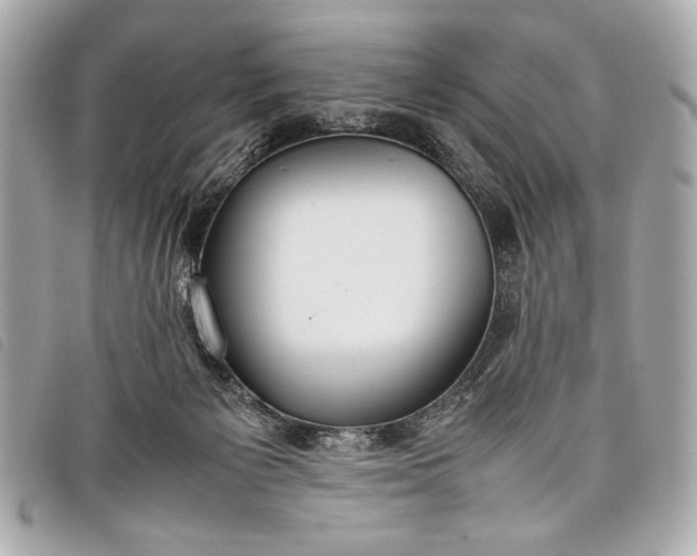 X0000098100125200804181435