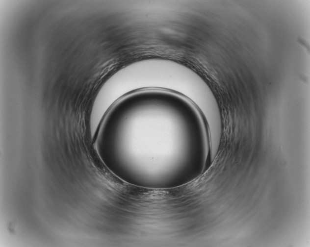 X0000098100128200804181435