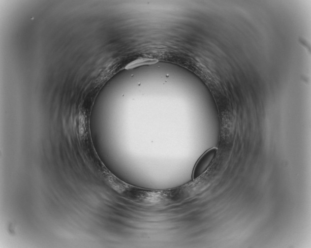X0000098100130200804181435