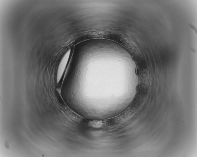 X0000098100131200804181435