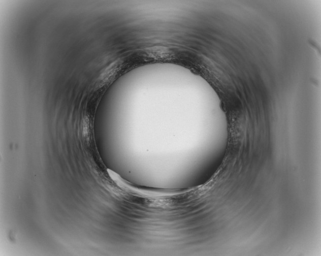 X0000098100132200804181435