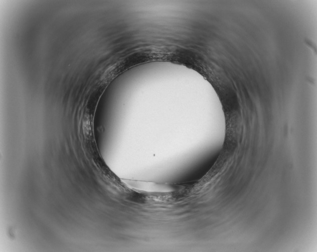 X0000098100137200804181435