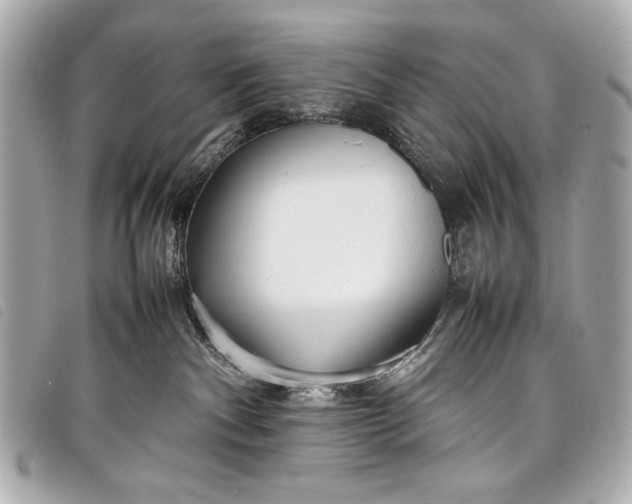 X0000098100140200804181435