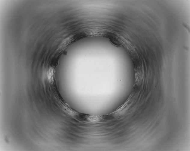X0000098100142200804181435