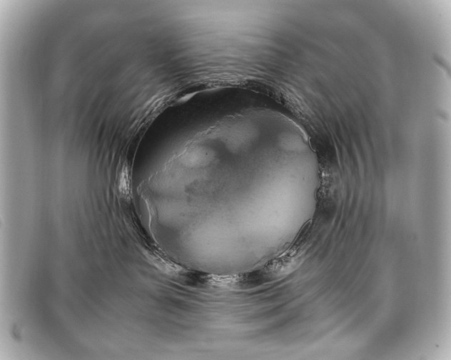 X0000098100143200804181435