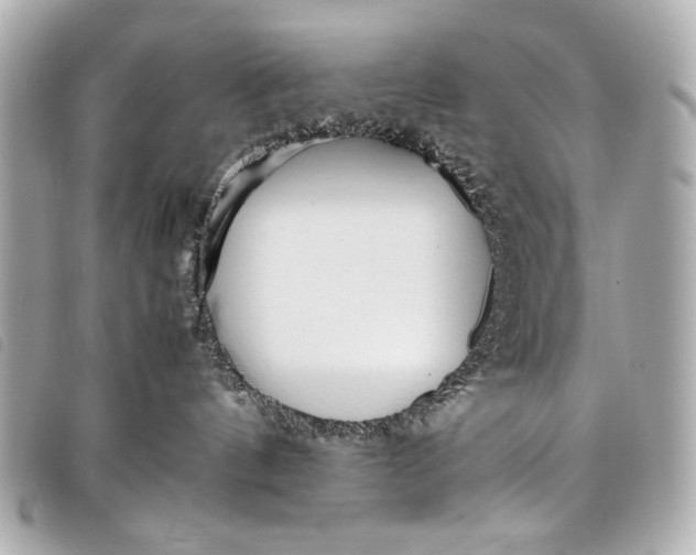 X0000098100144200804181435