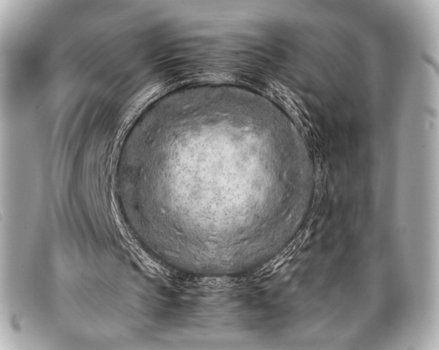 X0000098100145200804181434