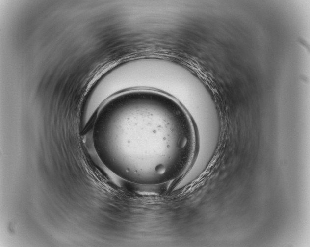 X0000098100146200804181434