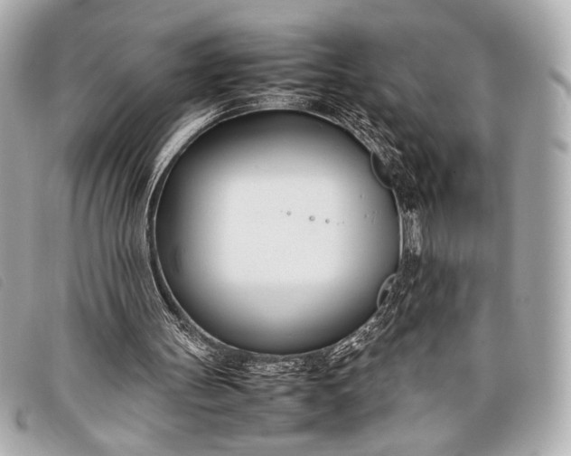 X0000098100147200804181434