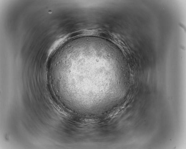 X0000098100149200804181434