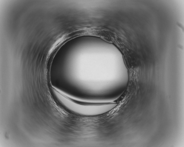 X0000098100150200804181434