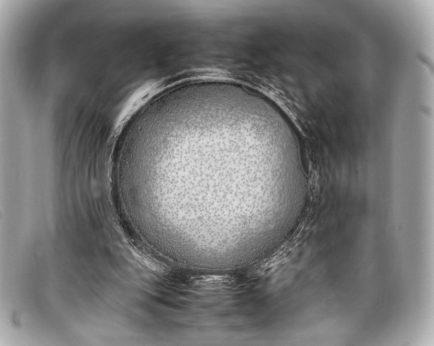 X0000098100151200804181434
