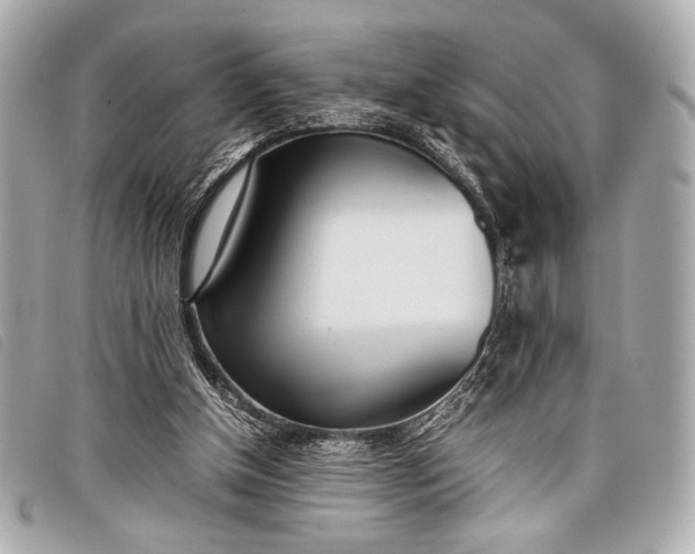 X0000098100154200804181434