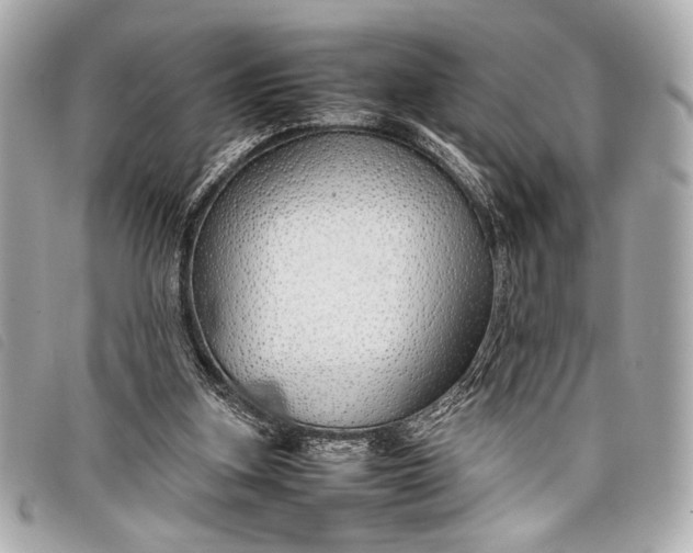 X0000098100155200804181434
