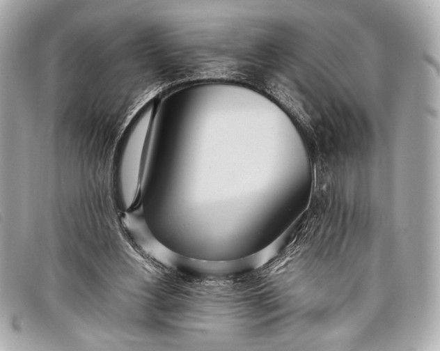 X0000098100156200804181434