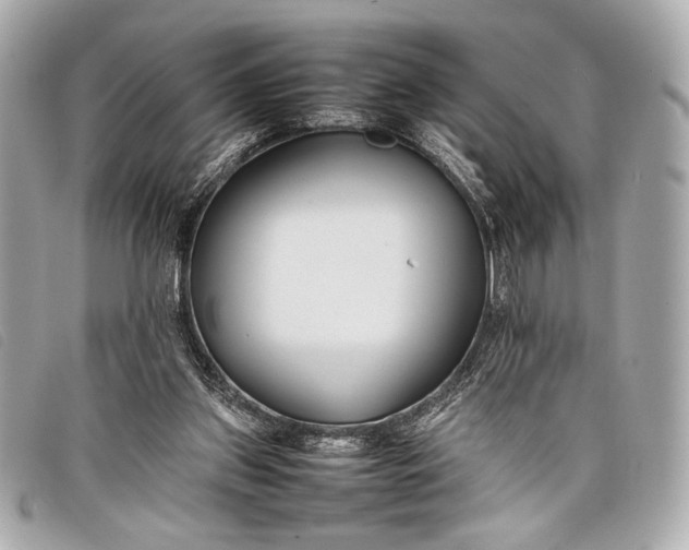 X0000098100157200804181434