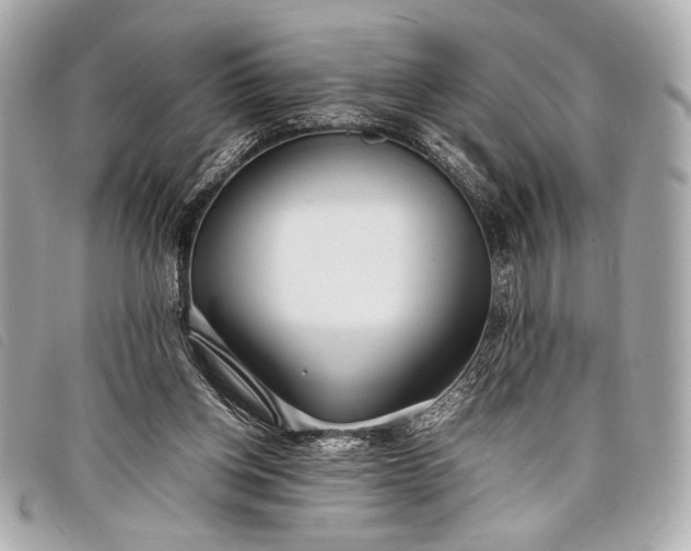 X0000098100158200804181434