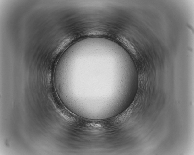 X0000098100159200804181434