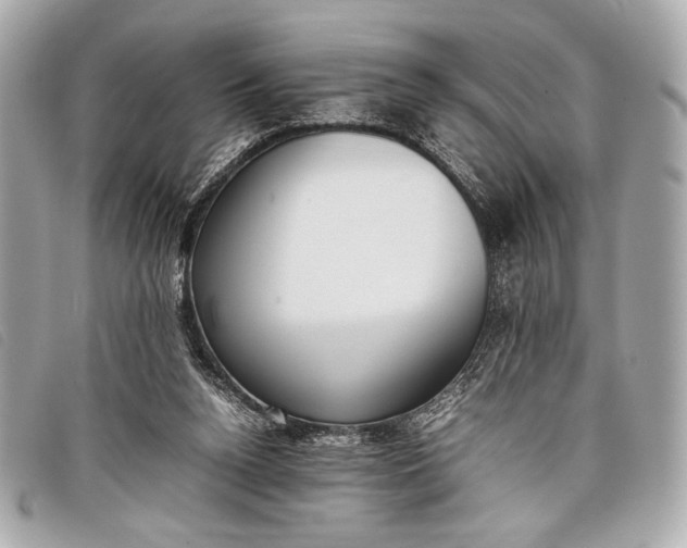 X0000098100160200804181434