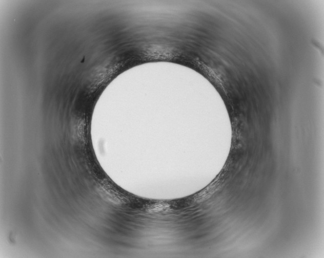 X0000098100162200804181434
