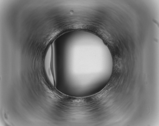 X0000098100164200804181434