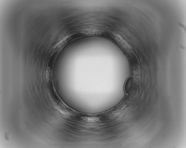 X0000098100165200804181434