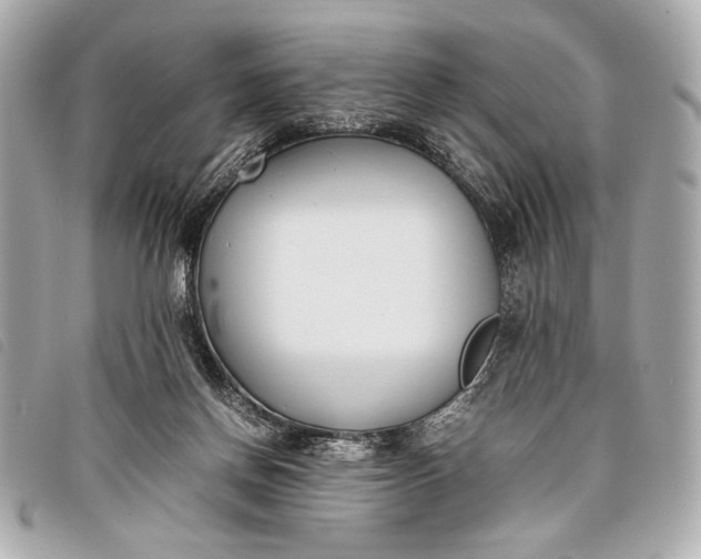 X0000098100166200804181434