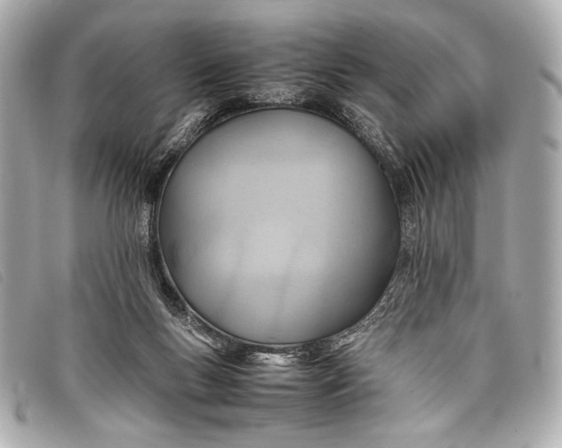 X0000098100167200804181434
