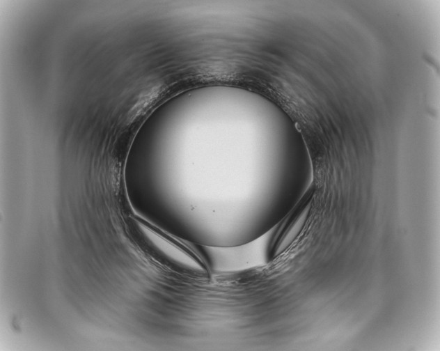 X0000098100168200804181434