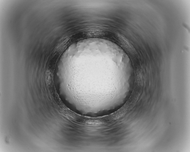 X0000098100169200804181434