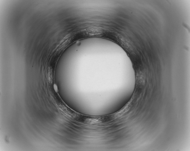 X0000098100170200804181434
