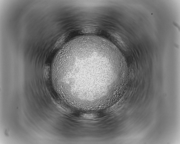 X0000098100171200804181434