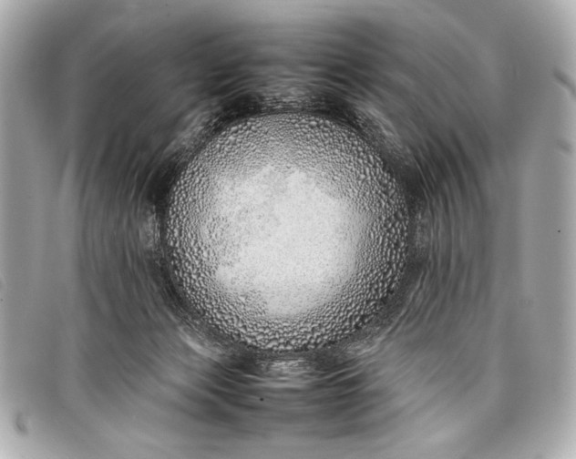 X0000098100173200804181434