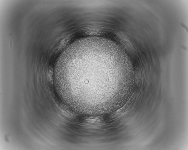 X0000098100175200804181434