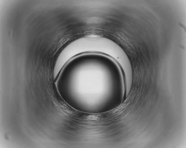 X0000098100176200804181434