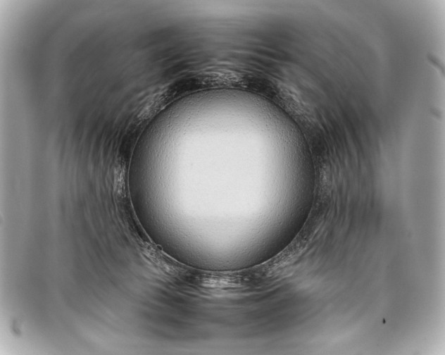 X0000098100177200804181434