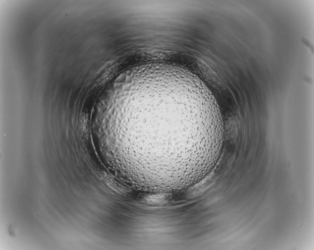 X0000098100178200804181434