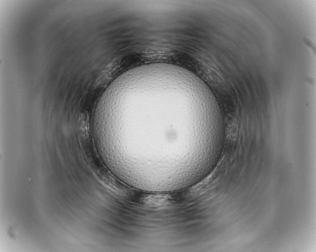 X0000098100179200804181434