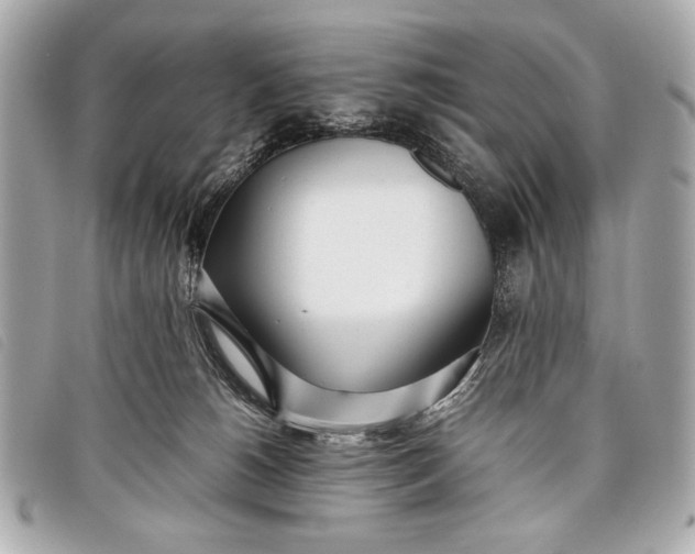 X0000098100180200804181434