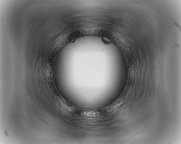 X0000098100181200804181434