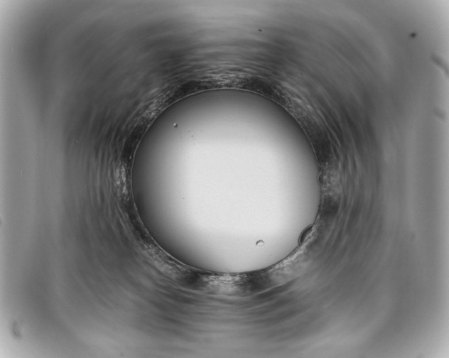 X0000098100182200804181434