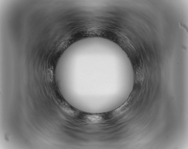 X0000098100183200804181434