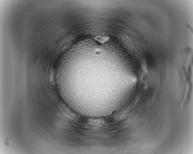 X0000098100185200804181434