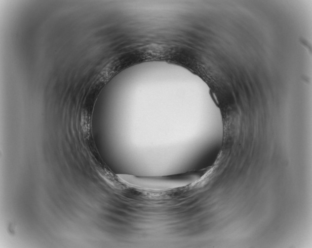 X0000098100186200804181434