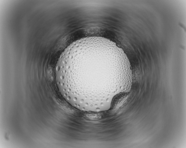 X0000098100187200804181434