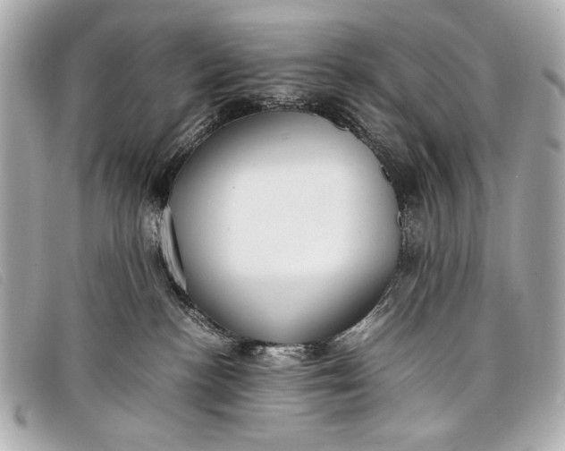X0000098100188200804181434