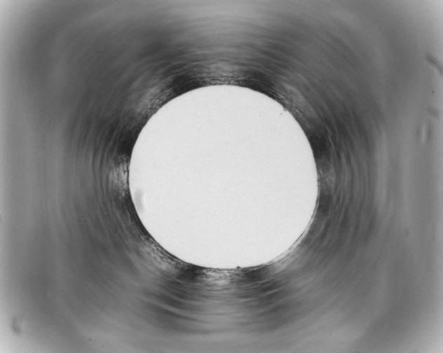 X0000098100190200804181435